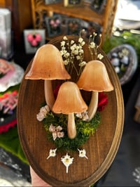 Image 4 of Mushroom wooden frame LED