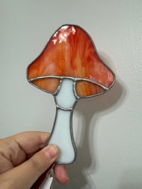 Image 2 of Mushrooms