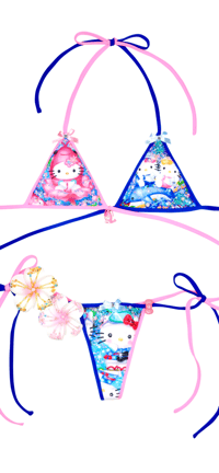 Image 3 of Shrimp& dolphin beach vibe