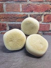 Sand Dollar Oatmeal Soap