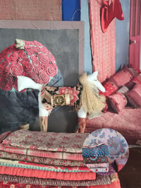 Image 1 of Les chevaux des marais "Basile"