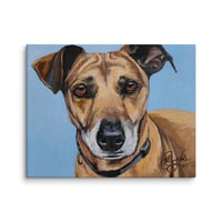 Image 2 of Blue Sky Terrier