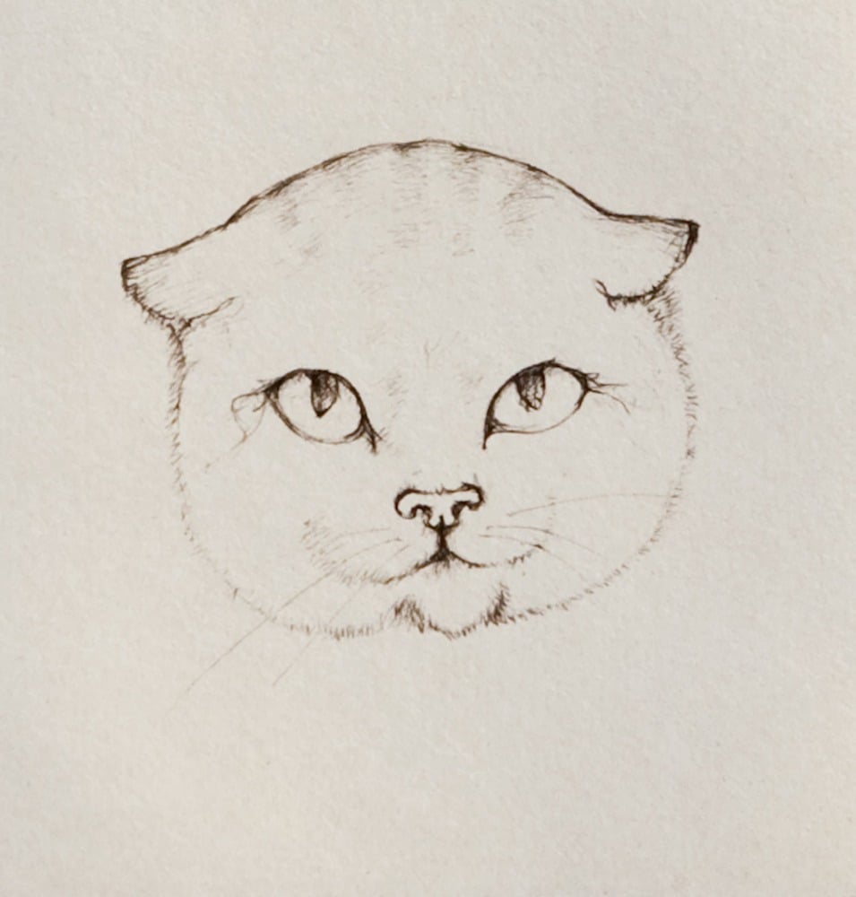 Image of Le Chat