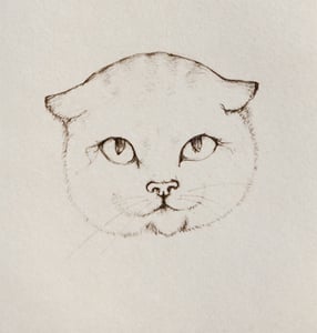 Image of Le Chat