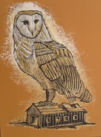 Reconstructed Barn Owl Burnt Orange Colorway