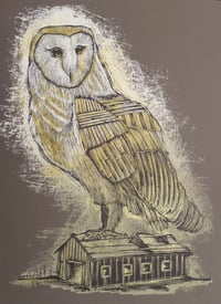 Reconstructed Barn Owl Charcoal Brown Colorway
