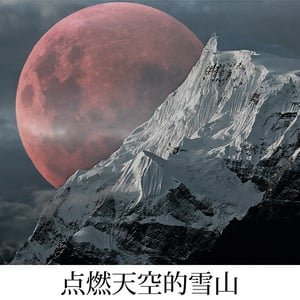 Image of LUNAR T-SHIRT