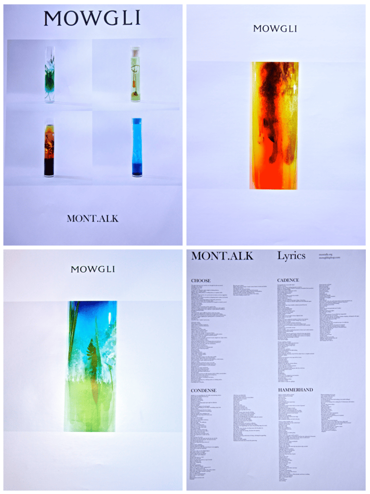 Image of Limited Edition Mont.alk Printwork