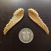 Image of "Pretty Wings" earrings