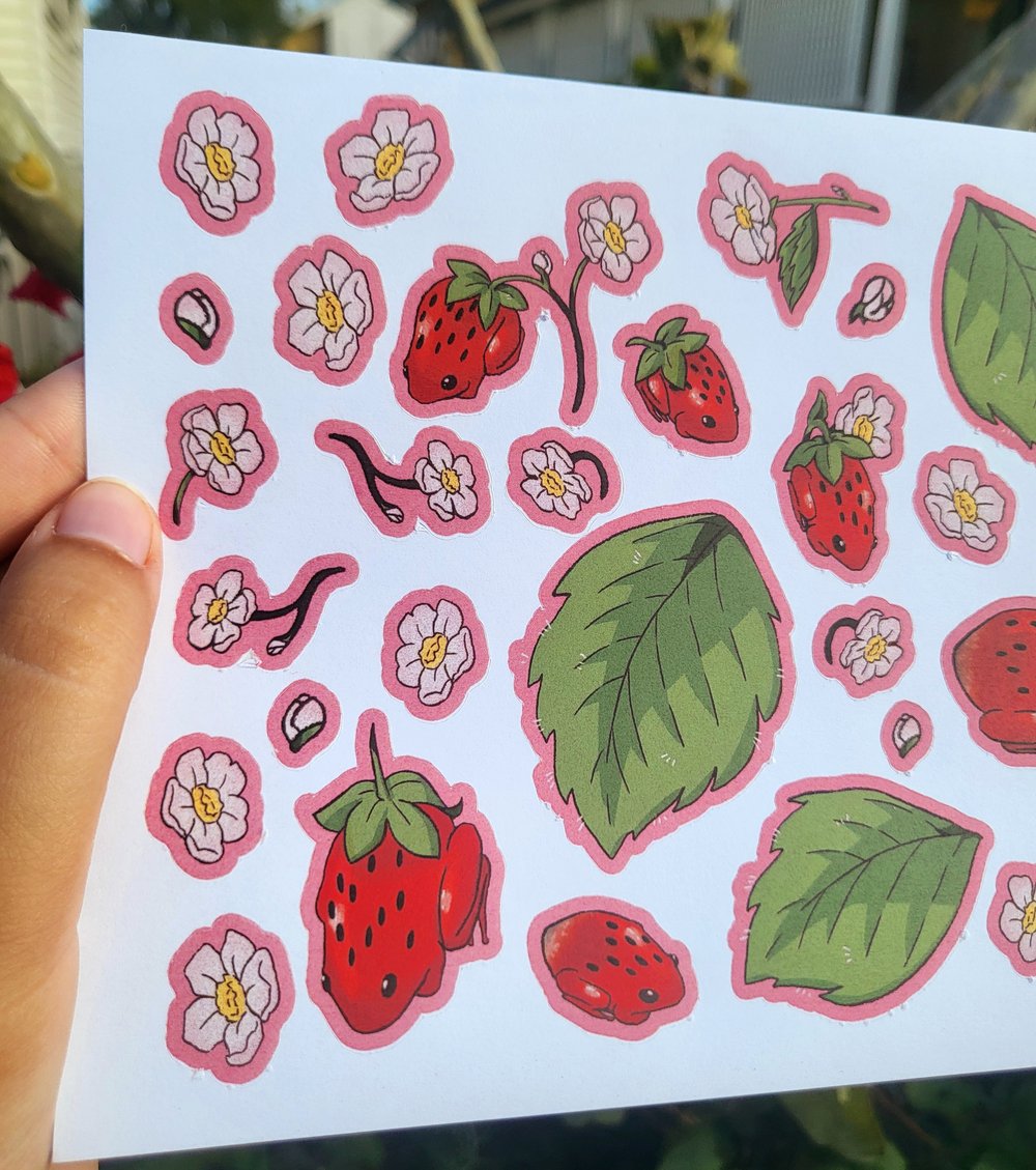 Image of Strawberry frog stickers - C grade 🐸 