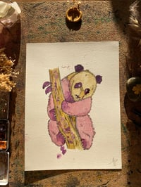 Image 1 of Panda 