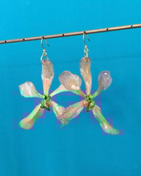 Image 1 of Aretes | Orquídea Vanda (n)