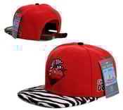 Image of Pink Dolphin Waves Strapback red with Zebra