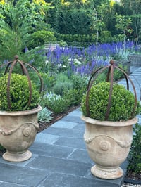 Image 4 of Large Topiary Trainer