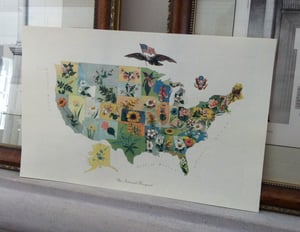 Image of United States Flower Map - circa 1911