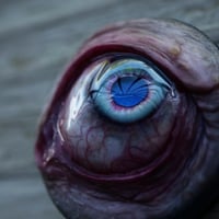 Image 1 of Custom Swappable Phone Grip for smartphones, bright blue reflective pupil, glow in the dark 