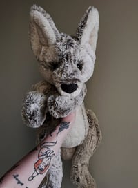 Image 6 of Big Wolf - Mystery Preoder