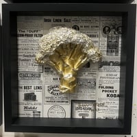 Image 1 of Antique broc 2 