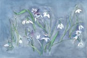 Image of Snowdrop Flower Fairies Print