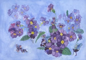 Image of Purple Primulas Flower Fairies Print