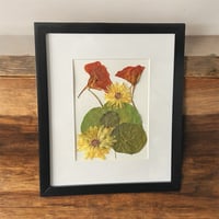 Image 4 of Genuine Nasturtium And Calendula Wildflower Art In 8" X 10" Frame (Item# 2022088)