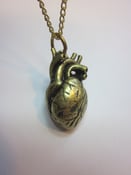 Image of Anatomical Heart Antique Brass
