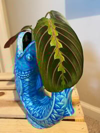 Image 3 of Prayer Plant in Handmade Blue Fish
