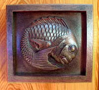 Image 1 of Orbicular Sea Bream