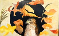 Image 1 of Hawk in the Falling season- Diane Matz