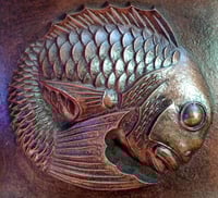 Image 2 of Orbicular Sea Bream