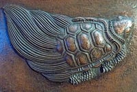 Image 2 of Sea Turtle
