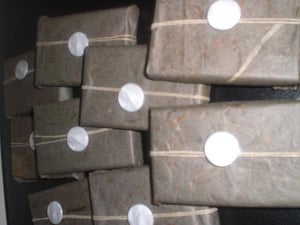 Image of Children Egoism + thorazine gaze Split SOLD OUT