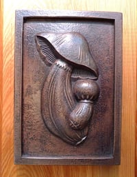 Image 1 of Mushrooms