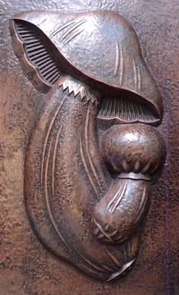 Image 2 of Mushrooms