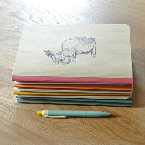 Image of Cahier A5 Lapin Magicien couverture Kraft