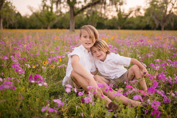 Image of Wildflower field mini sessions l