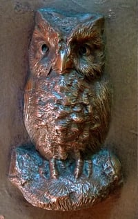 Image 2 of Owl