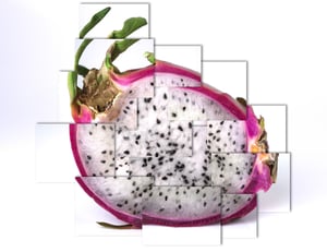 Image of Photograph: Study of a Dragon Fruit  - by Torin Nielsen
