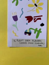 Image 3 of il pleut des fleurs 