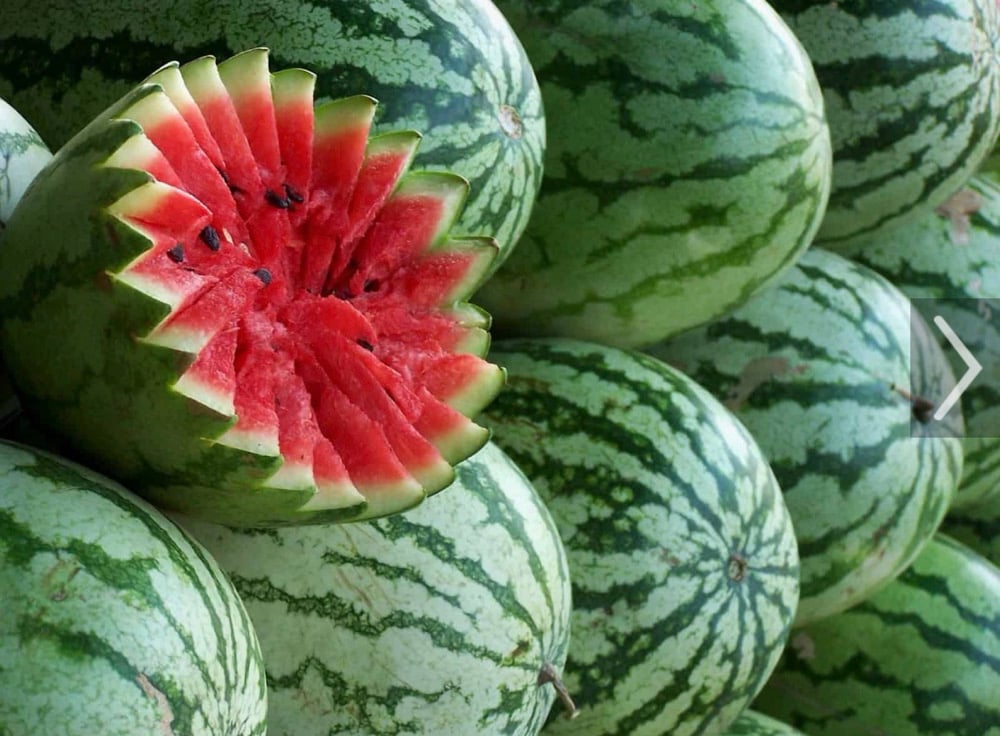 Image of Watermelon Robusto 5 1/2 x 46 ring gauge