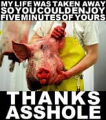 Image of pig - thanks asshole sticker