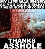 Image of Chicken - Thanks Asshole sticker