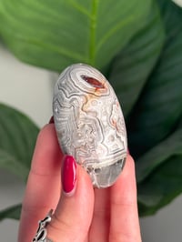 Image 3 of MEXICAN LACE AGATE SHIVA H
