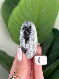 Image 10 of DENDRITIC OPAL SHIVAS