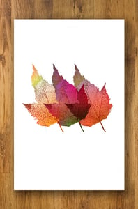 Image of Three Leaves
