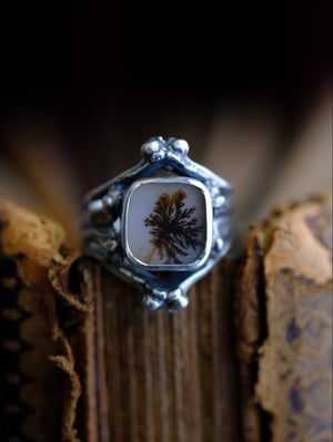 Image of MINYADES : DENDRITIC AGATE I { OOAK }