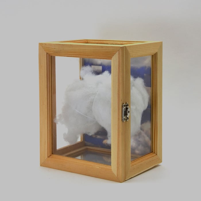 Image of All My Knowledge Lives in a Box