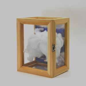 Image of All My Knowledge Lives in a Box