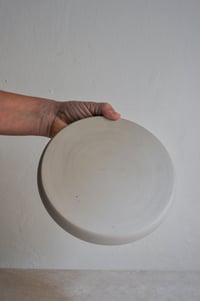 Image 4 of Plate #2