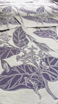 Image 1 of Metamorphosis